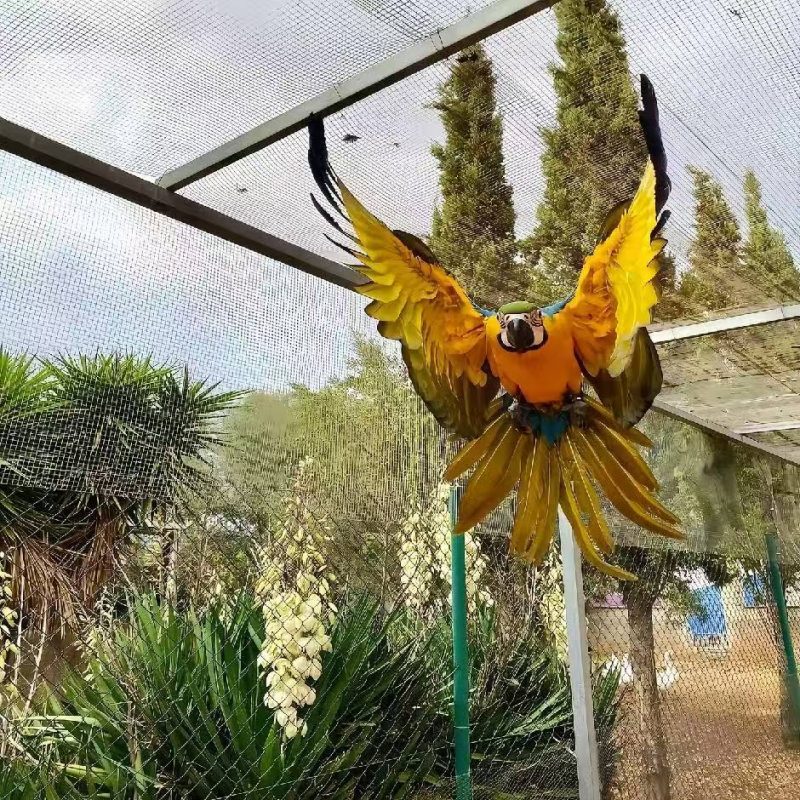 世予子网络 | 电脑游戏资源库、软件工具合集与玩家实用笔记